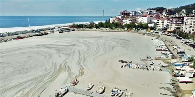 Kabus sürüyor, Yalova'yı da 'salya' kapladı