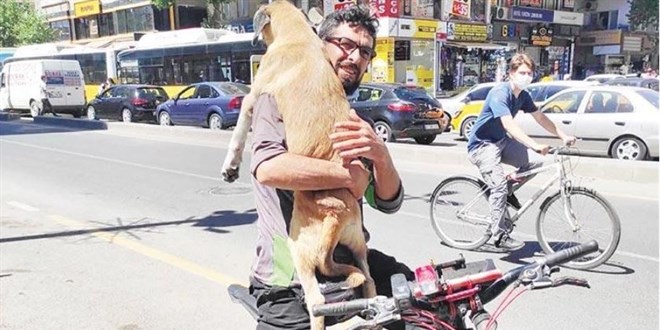 Yaralı köpeği taksiler alamayınca bisiklet kiraladı