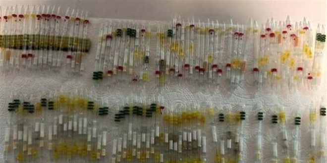 Sarp Sınır Kapısı'nda, kobra yılanı zehri ile arı zehri ele geçirildi