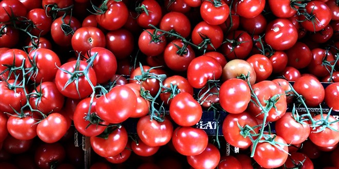 Rusya Türkiye'den domates ithalat kotasını artırdı