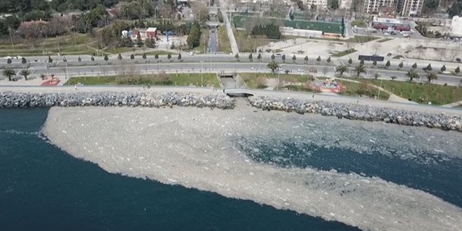 Deniz salyasının tarımdaki kullanım alanları araştırılıyor