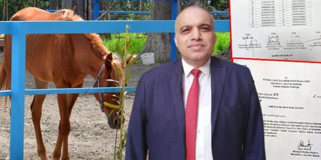 Kayıp at soruşturmasında Veteriner Müdürüne 'ihraç' talebi