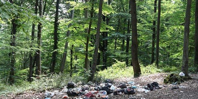Bu zihniyet değişmeli! Piknikçiler ormanı çöplüğe çevirdi