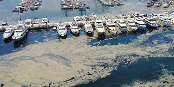 Bakan Kurum, temizlenen müsilaj miktarını açıklandı