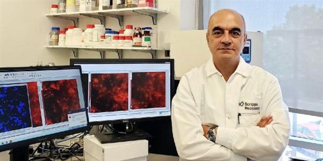 Covid-19'un 'hızlanmış Alzheimer' etkisine karşı tedavi geliştirecek