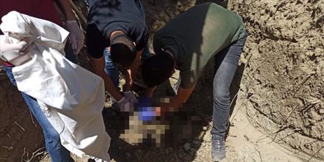 PKK'dan kamaya alan terristin cesedi topraa gml bulundu