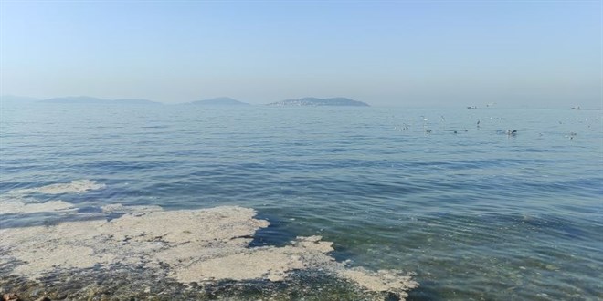 stanbul'un baz sahillerinde msilaj younluu azald