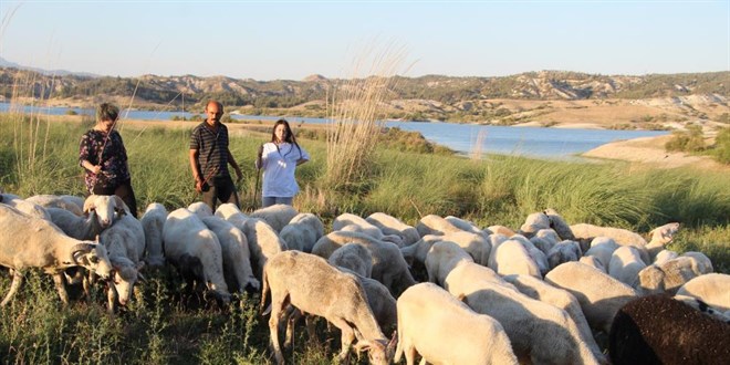 Bunlar farklı çoban! Baba iki dil, kızları üç dil biliyor