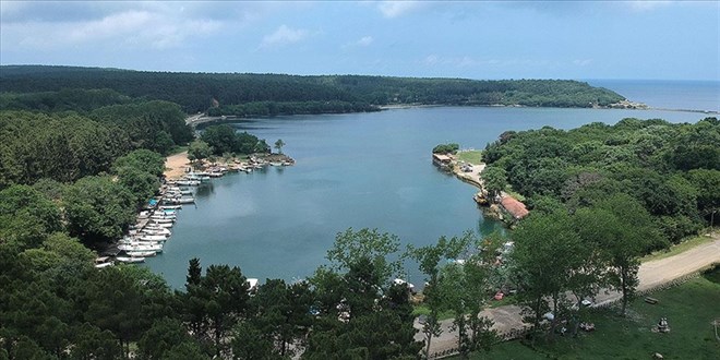Denizle orman Sinop'un tabiat parklarında birleşiyor