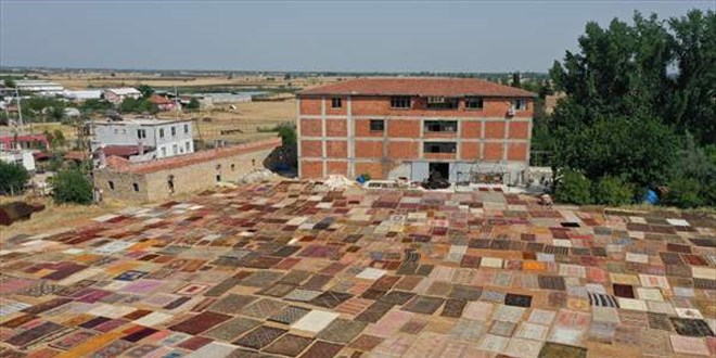 Antalya'nın 'halı tarlaları'nda renkli telaş başladı
