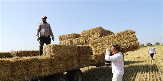 Edirne'de okul müdürü, öğrencilerine destek için balya işçisi velilerle çalıştı