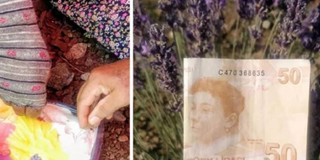 Tarlada çalışan kadın işçilere dondurma alınması için 50 lira bıraktı