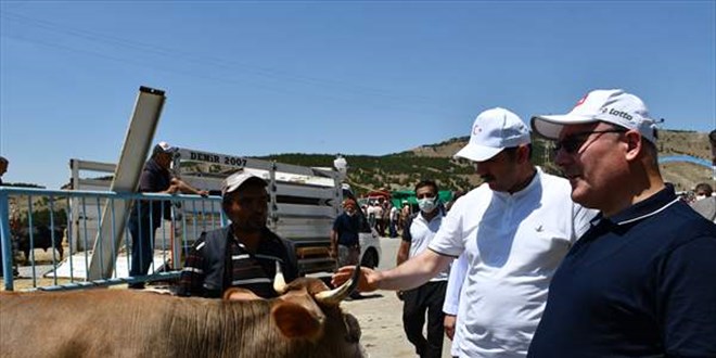 Vali ve Belediye Başkanı, ihtiyaç sahipleri için büyük iki kurbanlığı aldı