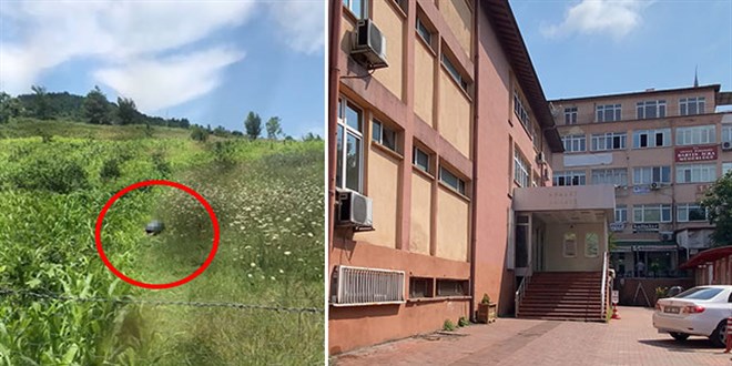 Hayvan Hakları Yasası'nda ilk uygulama Bartın'da