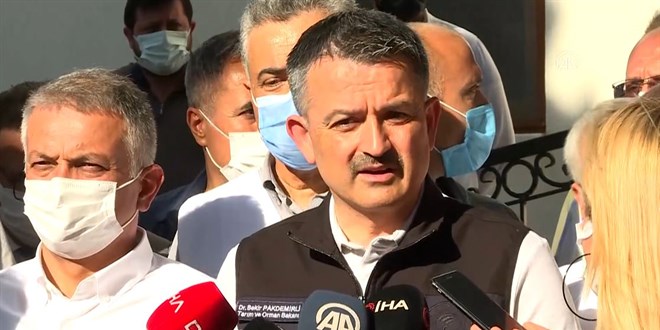 Bakan Pakdemirli: 53 kişi dumandan etkilenmiş durumda