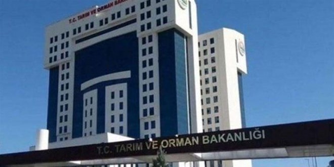 Tarım ve Orman Bakanlığı Personeli Görevde Yükselme ve Unvan Değişikliği Yönetmeliğinde Değişiklik
