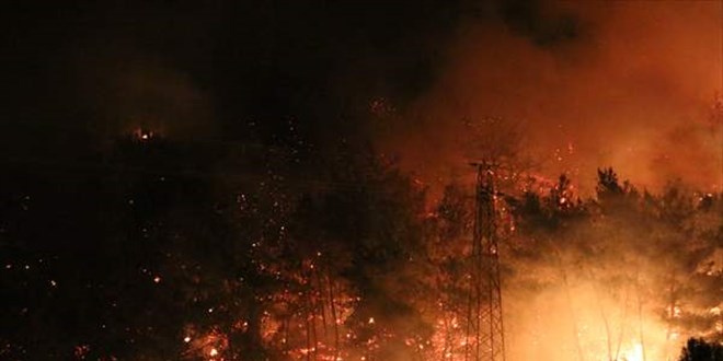 Osmaniye'de orman yangını: 5 gözaltı