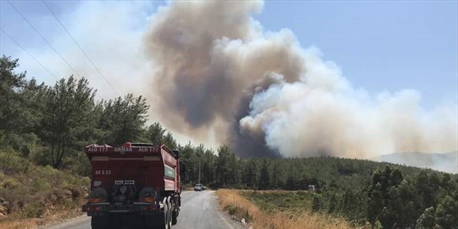 Yangınlarla ilgili soruşturma başlatıldı