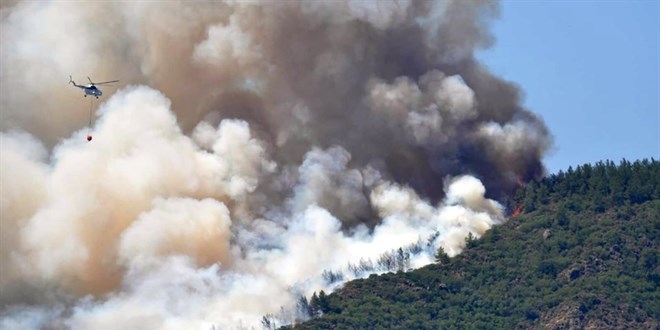 3 ildeki orman yangınlarına ilişkin soruşturma başlatıldı