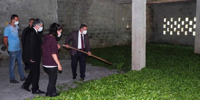 ÇAYKUR, rekor yılını yaşıyor