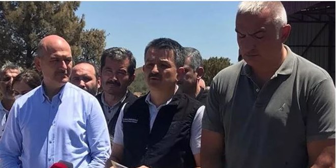 Tarım ve Orman Bakanlığı: 6 ilde 13 yangın devam ediyor