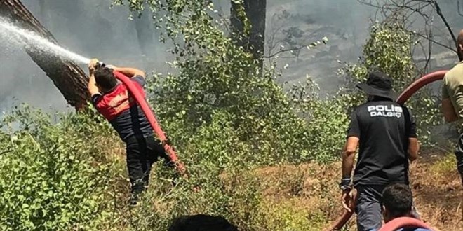 Küresel ısınma sürdükçe orman yangınları artacak
