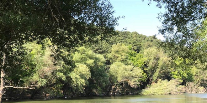 Başkentte mesire alanlarında mangal ve ateş yakılmayacak