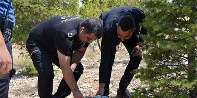 Yangının ortasında kalan kaplumbağayı polisler kurtardı