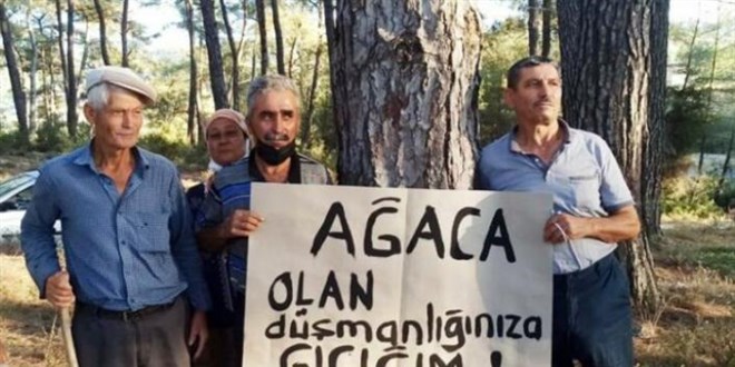 Köylüler nöbet tutmuştu, Akbelen'de şirkete teslim işlemleri durdu