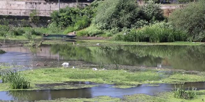 Debisi den Tunca Nehri'nde atlan pler ortaya kt