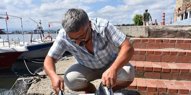 Karadeniz'de sezonun ilk palamutları Sinop'ta tezgahlardaki yerini aldı