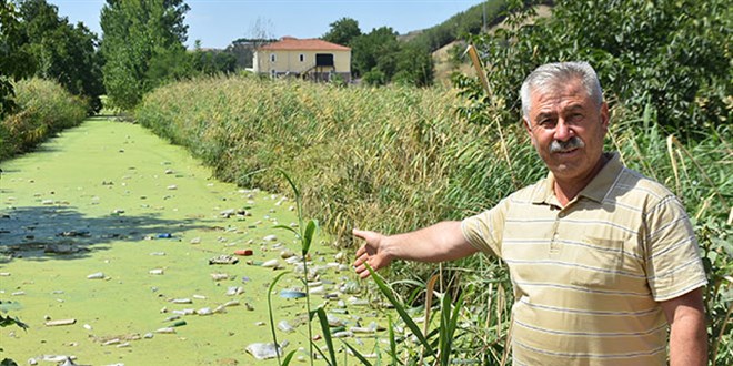 Edirne'nin Bayır Deresi kirlilikten yeşile büründü