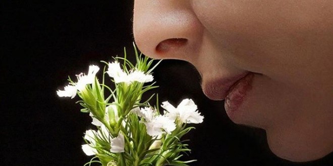 Koku bozukluğu depresyona sokuyor