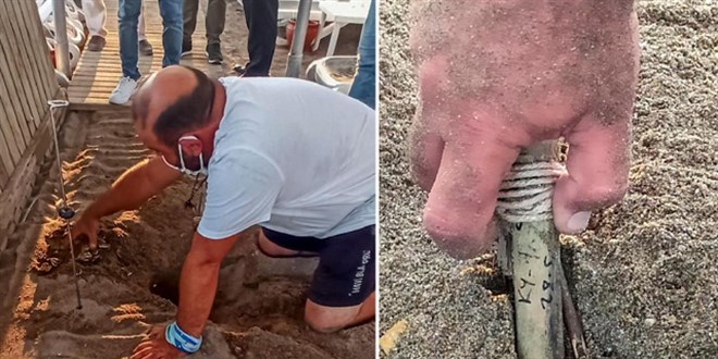 '5 yıldızlı caretta katliamı'nda iki oteli ağır cezalar bekliyor