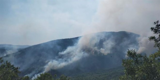 Tunceli Valiliği'nden orman yangınına ilişkin açıklama
