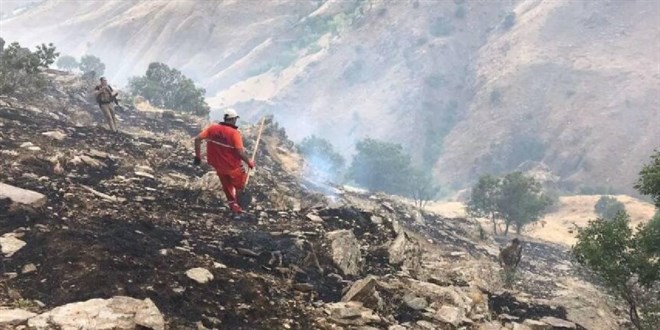 Bingöl'deki orman yangınının bir bölümü söndürüldü