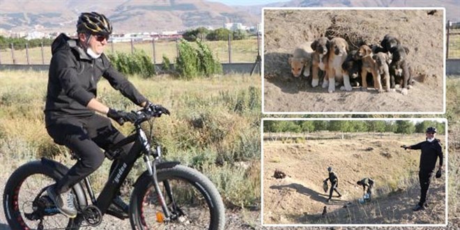 Vali, bisiklet sürerken karşılaştığı sokak köpeği ile yavrularına sahip çıktı