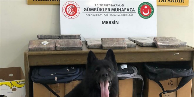 Mersin Limanı'nda 30 kilo kokain ele geçirildi