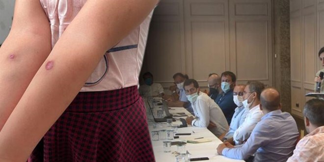 Yeni tehlike: Asya Kaplan Sivrisineği