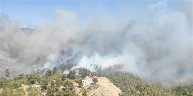 Bodrum'da kan orman yangn kontrol altna alnd