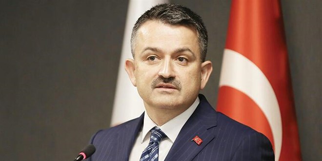 Türkiye'de bu yıl sonuna kadar 252 milyon fidan dikilecek