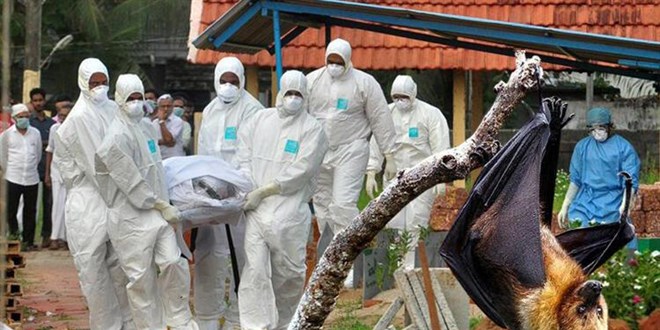 Korona bitmeden yeni salgın: 12 yaşındaki çocuk, virüs yüzünden öldü