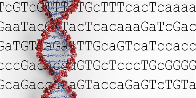 Türk toplumunun genetik kodlarına ışık tutan araştırma sonuçlandı