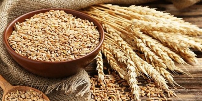Buğday, arpa, nohut, mercimek ve mısırda gümrük vergisi sıfırlandı
