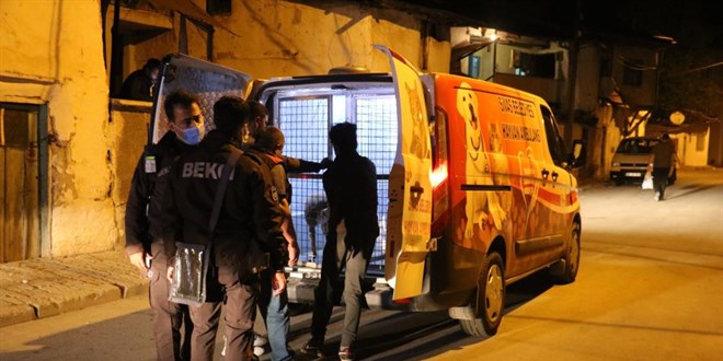 Polis memuru ve gece bekçisi pitbull saldırısında yaralandı