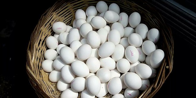 Yumurta fiyatları kanatlandı...Üreticiler: Zamları tam yansıtamıyoruz
