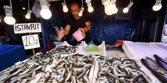 Balık tezgahlarında istavrit ve palamut bolluğu yaşanıyor