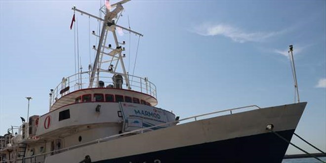Marmara'da oksijen azalıyor: Daha az balık olabilir