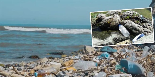 Karadeniz'de kirlilik; 500 metrekarede 2 bin 500 atık çıktı