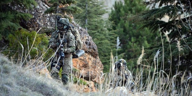 Bitlis'te 4 terörist etkisiz hale getirildi
